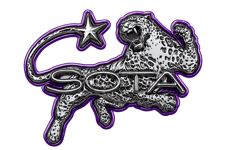 SOTA Fashion Logo